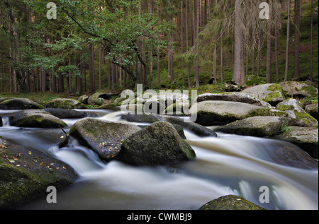 Deutschland, Bayern, Blick auf riesigen Felsen im Tal der Waldnaab Stockfoto