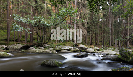 Deutschland, Bayern, Ansicht von riesigen Felsen im Tal der Waldnaab Stockfoto