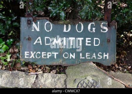 Keine Hunde erlaubt außer auf Leash-Schild in Princes Street Gardens im Stadtzentrum von Edinburgh, Schottland, Großbritannien Stockfoto