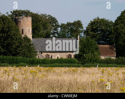 St Peter & St. Paul Kirche, Burgh Castle, Great Yarmouth, Norfolk, Großbritannien Stockfoto