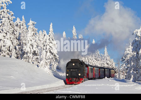 Dampfzug fahren die Brocken Schmalspur-Bahnstrecke im Schnee im Winter am Nationalpark Harz, Sachsen-Anhalt, Deutschland Stockfoto