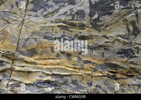 Cornwall - Hintergrundbild der Felsstruktur an der Küste in der Region zwischen Par Sands und Polkerris. Konzept "Fall on stony ground", Fehlergeologie. Stockfoto