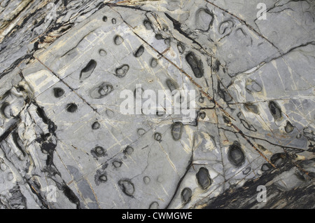 Cornwall - shoreline Stein -Textur Hintergrund in der Region zwischen Par Sands und Polkerris. Konzept 'fallen auf steinigem Boden', Ratschläge ignoriert. Stockfoto