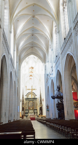 Inneren Hauptschiff der Kathedrale von Antwerpen, Antwerpen, Provinz Antwerpen, die flämische Region, Belgien Stockfoto