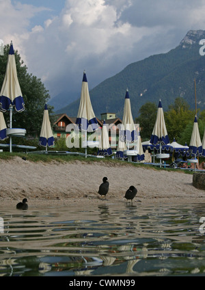 Strand am Levico See am Camping Levico, Trentino, Italien Stockfoto