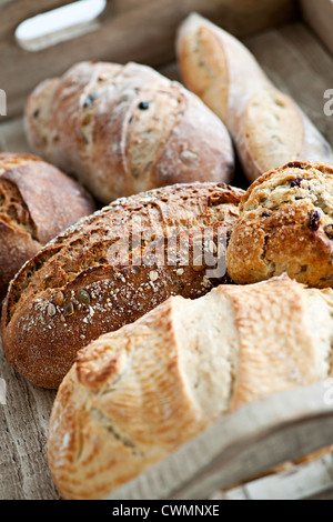 Verschiedene Arten von frisch gebackenem Brot Brote in Holztablett Stockfoto