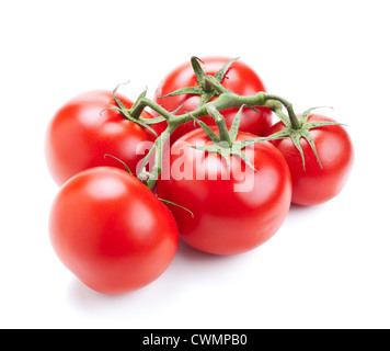rote Tomate Gemüse isoliert auf weißem Hintergrund Stockfoto