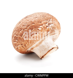 frische Pilze Champignon isoliert auf weißem Hintergrund Stockfoto