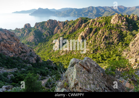 Corsica Insel Felsenküste genannt Calanche bei Sonnenuntergang, Frankreich Stockfoto