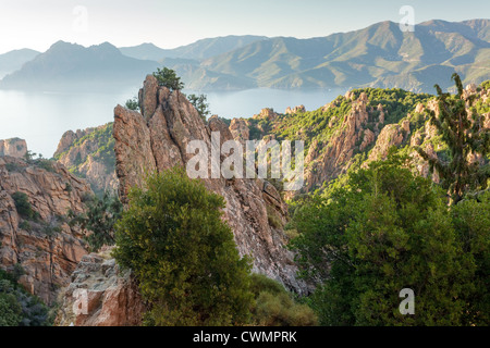 Felsige Küste Landschaft bei Sonnenuntergang, Korsika, Frankreich Stockfoto