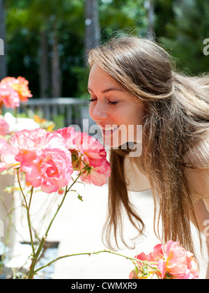 USA, Utah, Salt Lake City, junge Frau duftende rose Stockfoto