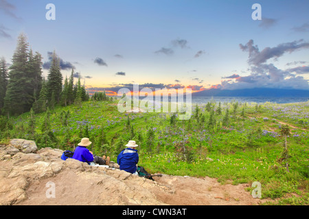 Älteres paar Wanderer beobachten Sonnenuntergang in der Firled von Wildblumen und Ozean. Stockfoto
