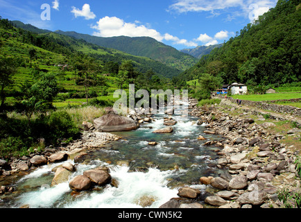 Grüne Reisfelder und Berge Flusslandschaft, Trekking zum Annapurna Base Camp in Nepal Stockfoto