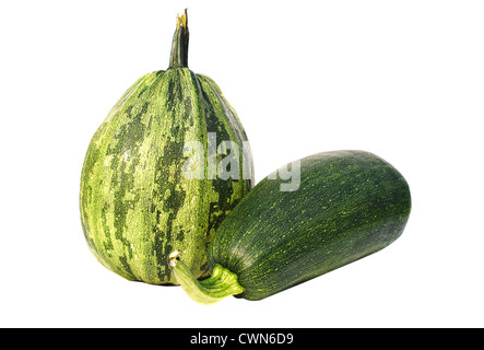 Grüne Zucchini frisches rohes Gemüse Naturprodukt isoliert auf weißem Hintergrund (Cucurbita Pepo var. Giromontina) Stockfoto