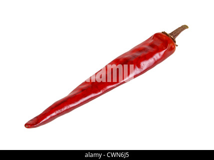 Eine einzelne getrocknete rote Chilischote, die vor einem weißen Hintergrund isoliert Stockfoto