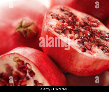 Punica Granatum, Granatapfel Stockfoto