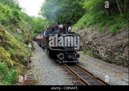 Dampfzug auf der Schmalspurbahn welsh Highland railway Stockfoto