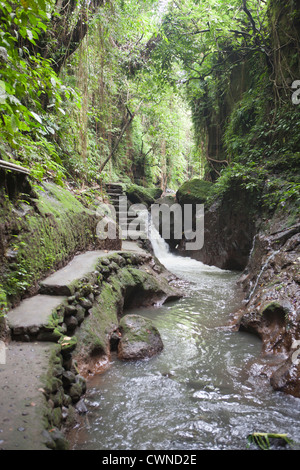 Heiliger Affenwald in der Stadt von Ubud, Bali, Indonesien. Stockfoto