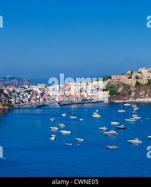 Marina Corricella, Insel Procida, Neapel, Kampanien, Italien Stockfoto