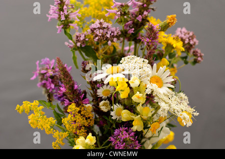 Wildblumen Stockfoto