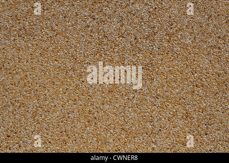 Winzige Kies Textur auf braune Betonwand Stockfoto