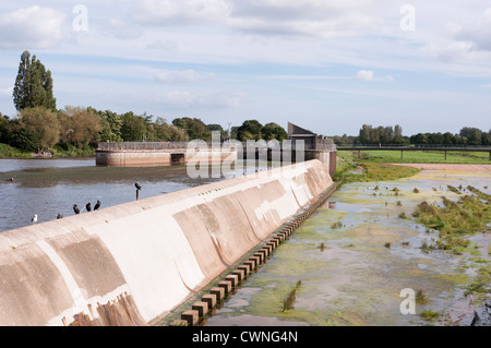 Flut Abwehrsystem Karottenhosenträger Weir Exeter Devon England Stockfoto