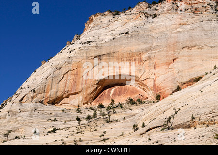 Sandstein Bogen bilden Form Start ab geologischen Prozess Zion Nationalpark, utah Stockfoto