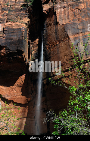 Wasserfall fällt stürzt Tropfen 1000 Fuß Zion Canyon Temple of Sinawava Zion National Park saisonale Wüste von Utah Stockfoto