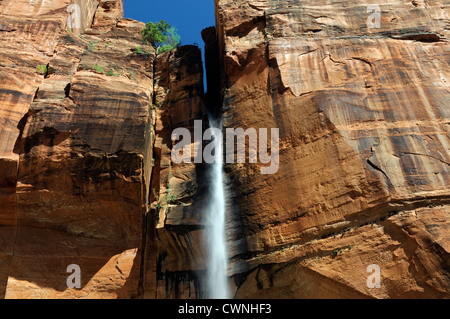 Wasserfall fällt stürzt Tropfen 1000 Fuß Zion Canyon Temple of Sinawava Zion National Park saisonale Wüste von Utah Stockfoto