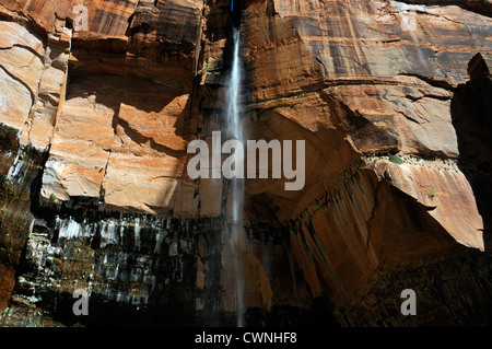 Wasserfall fällt stürzt Tropfen 1000 Fuß Zion Canyon Temple of Sinawava Zion National Park saisonale Wüste von Utah Stockfoto