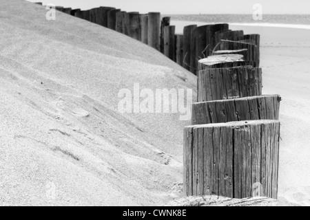 Ausgerichteten Protokolle an einem Strand, teilweise mit Sand bedeckt Stockfoto