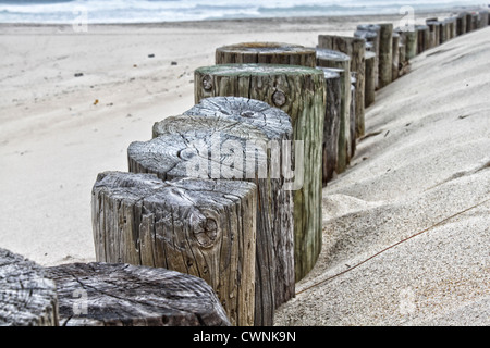 Ausgerichteten Protokolle an einem Strand, teilweise mit Sand bedeckt Stockfoto