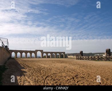 Ruinen der römischen Stadt Gerasa in der heutigen Jerash in Jordanien, hier das Hippodrom, gelegentlich auch heute verwendet Stockfoto