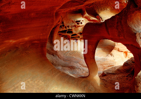 Windstone Arch Rock-Formation in einer kleinen Höhle zwingt Valley of Fire State Park Nevada USA geologischen Stockfoto