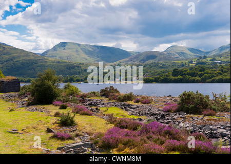 Llyn Padarn See mit Snowdonia im Hintergrund. MOEL-Cynghorion. Stockfoto