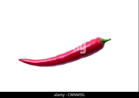 Rote Chilischote, auf 100 % weißen Hintergrund isoliert Stockfoto