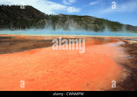 Grand prismatische Frühling, Yellowstone-Nationalpark, Wyoming, USA Stockfoto