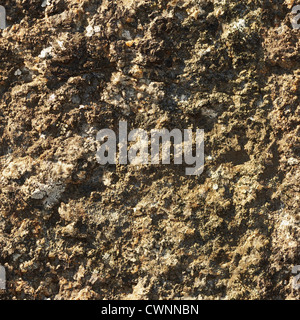 Stein-Oberfläche - die nahtlose natürliche Maserung Stockfoto