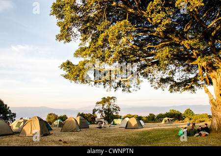 Simba Camping Zelte Ngorongoro Krater Tansania | NGORONGORO CONSERVATION AREA, Tansania – Kuppelzelte gruppieren sich unter einem breiten Baumdach auf dem Simba Campsite am Rand des Ngorongoro Kraters. Der Ort liegt auf etwa 7.500 Fuß (2.300 m) und überblickt eine Caldera, die vor etwa 2 bis 2,5 Millionen Jahren entstand und die UNESCO als die größte ungebrochene Caldera der Welt anerkennt. Die Ngorongoro Conservation Area erlaubt seit ihrer Gründung im Jahr 1959 eine solche Unterkunft neben der Maasai-Pastoralität. Stockfoto