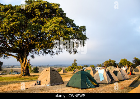 NGORONGORO-KRATER, Tansania — am späten Nachmittag trifft Licht auf die Zelte auf dem Simba-Campingplatz am Rande des Ngorongoro-Kraters im Ngorongoro-Schutzgebiet, Teil des nördlichen Tansania-Rundkreises aus Nationalparks und Naturschutzgebieten. Stockfoto