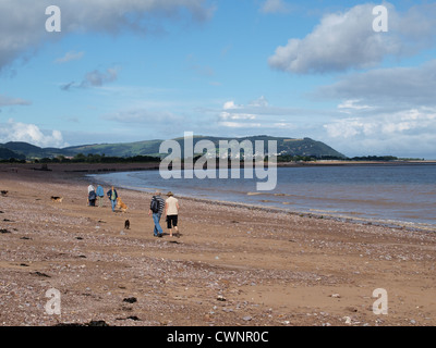 Dogwalker am Strand am blauen Anker mit Minehead in Ferne. Somerset Stockfoto