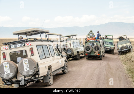 Ngorongoro-Krater-Safarifahrzeuge Tansania | NGORONGORO CONSERVATION AREA, Tansania — Touristen stehen durch die aufklappbaren Dächer von gruppierten Safarifahrzeugen und beobachten Wildtiere auf dem Boden des Ngorongoro-Kraters. Die steilen Grate im Hintergrund bilden den Rand einer eingestürzten Vulkan-Kaldera. Diese geologische Grenze schafft eine natürliche Einzäunung, die eine der dichtesten Konzentrationen großer Säugetiere Afrikas erhält. Stockfoto