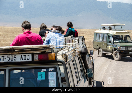 Safaris vehicles im Ngorongoro-Krater, Tansania | NGORONGORO CONSERVATION AREA, Tansania — Touristen beobachten die Savanne von modifizierten 4x4-Fahrzeugen aus auf dem Boden des Ngorongoro-Kraters. Der steile Bergrücken im Hintergrund bildet den Rand der größten intakten, nicht überfluteten vulkanischen Caldera der Welt. Der ursprüngliche Vulkan brach vor etwa 2 bis 2,5 Millionen Jahren zusammen und hinterließ Wände, die bis zu 610 Meter hoch sind und jetzt als natürliche Einzäunung für eine dichte ansässige Tierpopulation dienen. Stockfoto