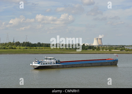 "Aspasia" Frachtschiff auf der Schelde, Provinz Antwerpen, die flämische Region, Belgien Stockfoto