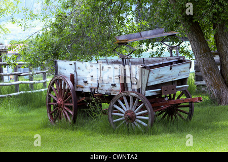 Alte den Buckboard Wagen, historisches Erbe und Pionier in einer Wiese unter einem Baum geparkt. Stockfoto