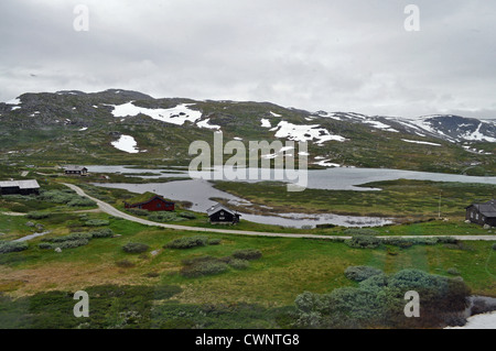 Häuser am See bei Finse in der Nähe der Bergen-Oslo-Bahn, Norwegen, im Sommer. Stockfoto