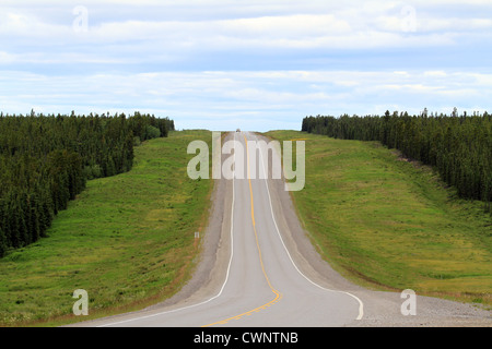 Der Alaska Highway als es durchläuft einen kanadischen Wald mit grünen Wiesen und dichten Bewaldung. Stockfoto