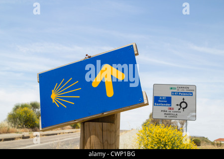 Camino de Santiago-Wanderweg-Zeichen in Provinz Palencia, Spanien Stockfoto