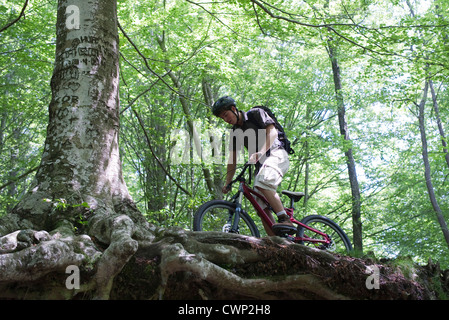 Junger Mann Reiten Fahrrad im Wald, niedrigen Winkel Ansicht Stockfoto
