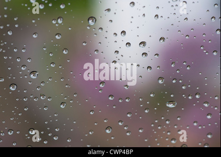 Regentropfen am Fenster Stockfoto